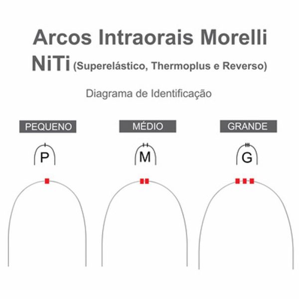 Dimensiuni Arc Morelli