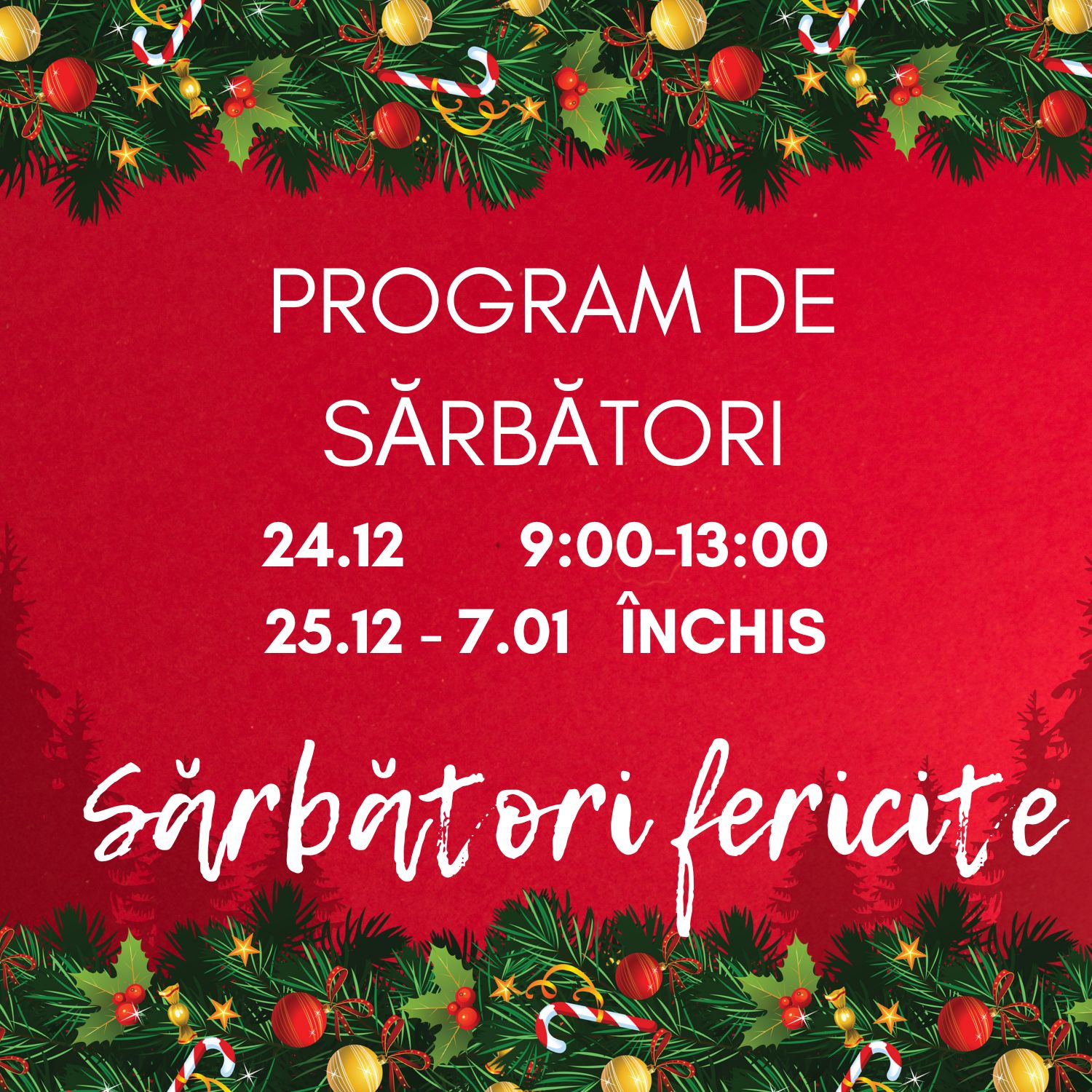 Program de sărbători